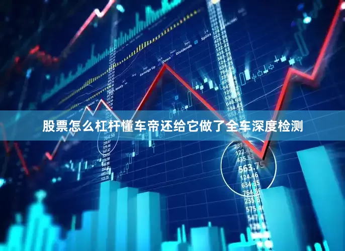 股票怎么杠杆懂车帝还给它做了全车深度检测